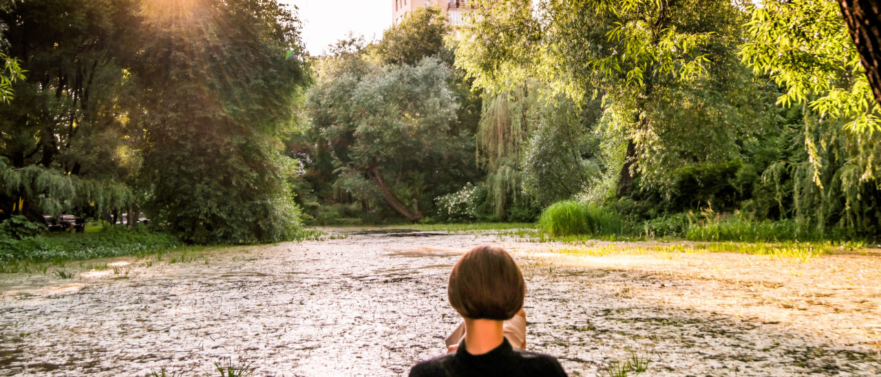 Spätsommer im Botanischen Garten