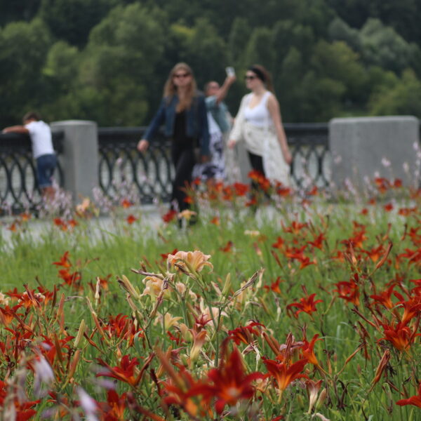 Malerische Promenade (Foto: Igor Beresin)